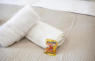 HANNIBAL - Design Apartment Lavendel 4, VW Nähe, Parkplatz, Küche, HighSpeed-WLAN, Fitness, Solarium - Foto 18