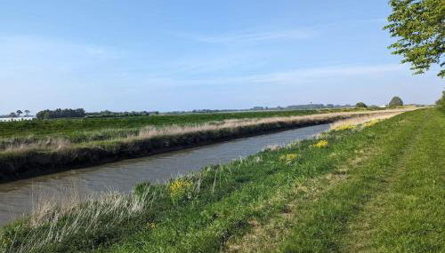 The Nest - countryside apartment in Spalding with outdoor heated pool - Foto 3