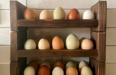 Chata Jakimówka - Foto 27