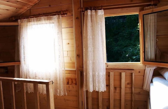 Ayder Bulut Dag Evi - Photo 9