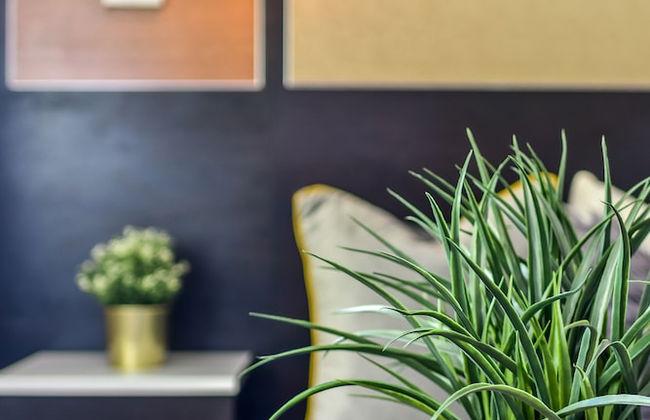 Chic Collection by NOHOTEL on PTree RD - Foto 21