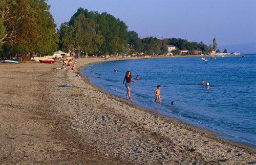 Vergonis Studios - Photo 11