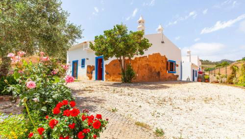 Quinta Gonçalves - Foto 1, Garden, Garden view