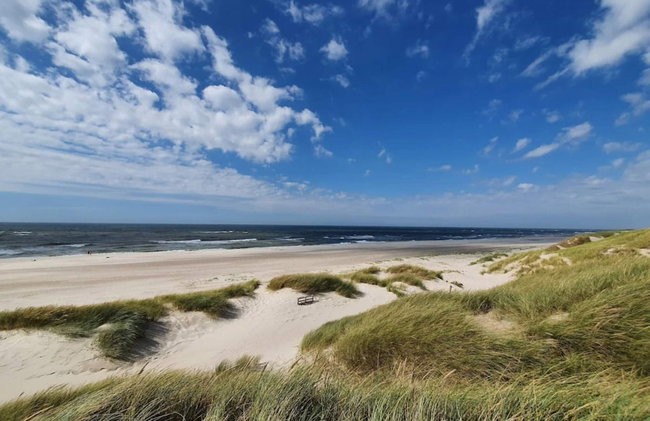 4 Star Holiday Home in Henne - Foto 32