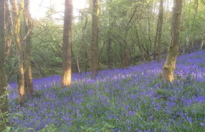 Cuckoo Barn at Penygaer farm near the Brecon Beacons - Foto 10