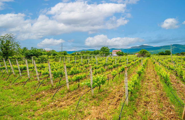 Rest for the soul - Foto 40