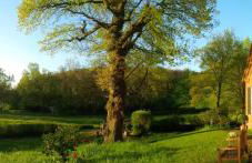 Bauernhaus in der Bremer Schweiz - Foto 21