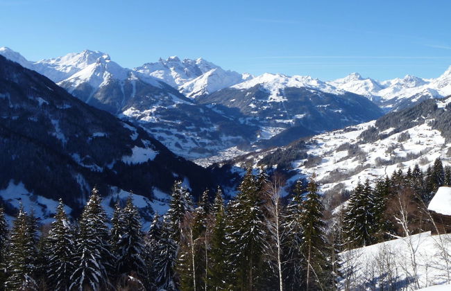 Lush Apartment in Silbertal With Garden - Foto 24