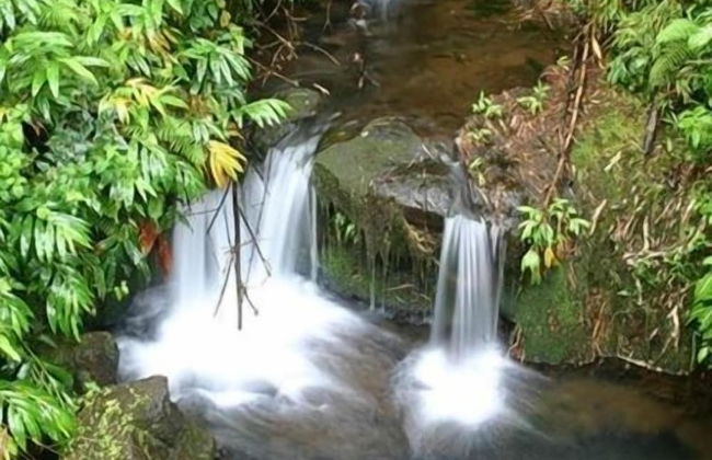 Hale Ki'i Maka Manu 4 Bedroom Home by RedAwning - Foto 15