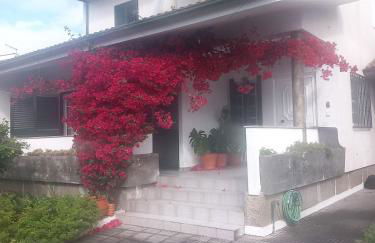 Casa Rua dos Loureiros - Foto 26