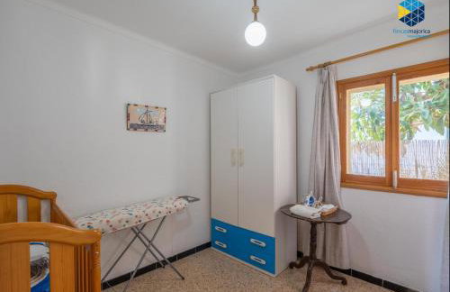 Ca na Planta - Foto 49