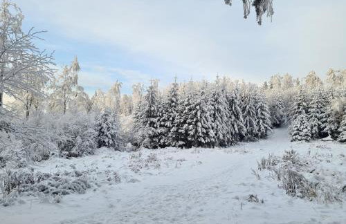 Apartament Mountains Góry Sowie - Foto 52