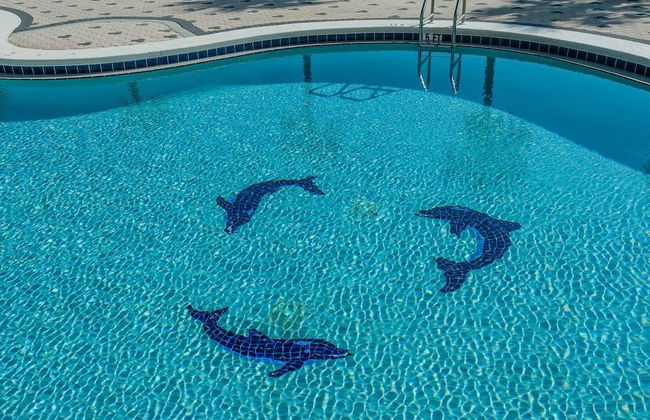 Emerald Dolphin Unit 650 - Foto 31