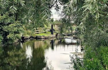 Living Like a Local at Dotties - Foto 38