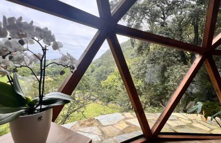 Domocantabria - Foto 90