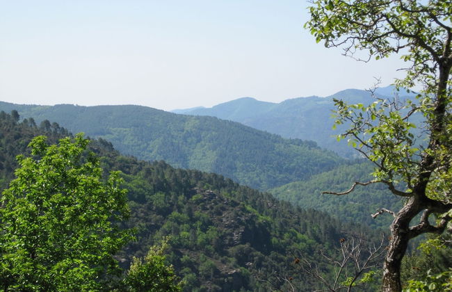 Cevennes Stone Retreat - Foto 31