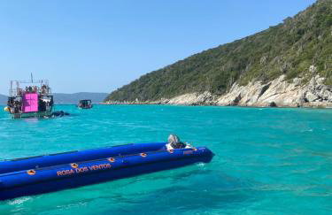 História de Verão House - Foto 5