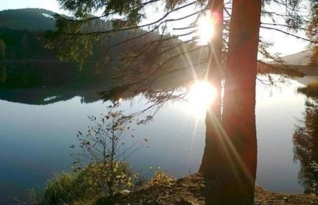 Detached Holiday Residence in the Wonderfully Beautiful Harz - Foto 77