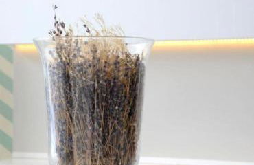 Bahia & Ocean Views - Holiday Club Deluxe Private Suite - Foto 98