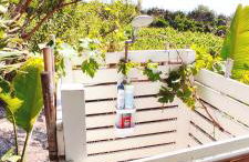 La Dolce Vista - Foto 5