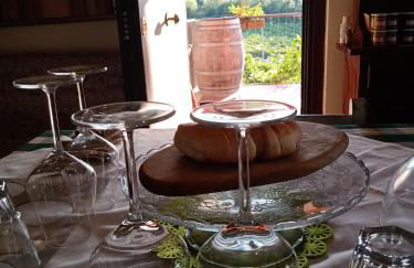 Poggio agli Ulivi vicolo di Colle Reti 22 Frascati - Foto 48