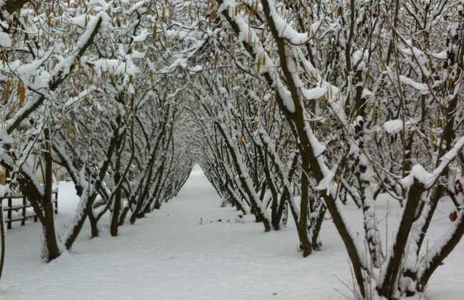 Agriturismo Azienda Agricola Bortolotti - Foto 36