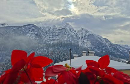 Rium Dolomiti - Casa con Vista - Foto 13