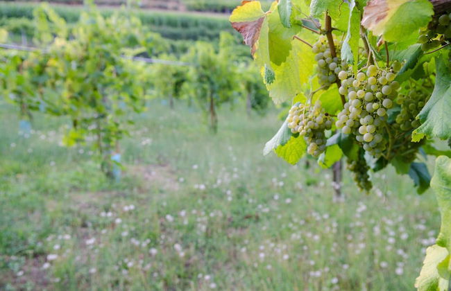 Casa da Cevidade - Foto 29