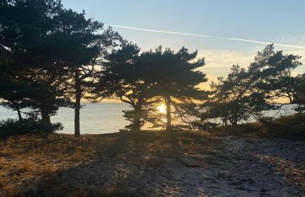 Oasis of Nature - Foto 43