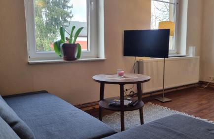 Wohnung in der Waldstadt - Foto 7