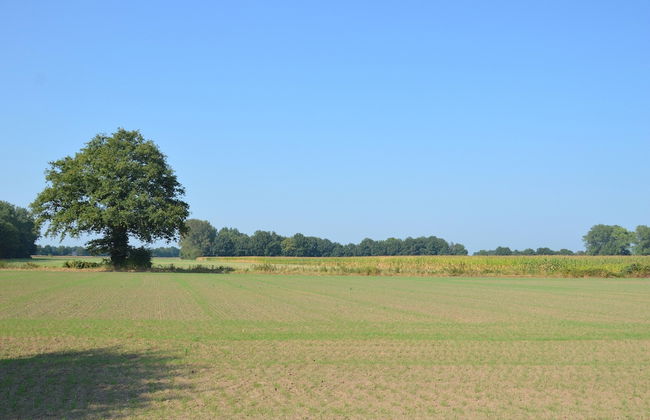 Farmhouse in Geesteren Near Forests - Photo 20