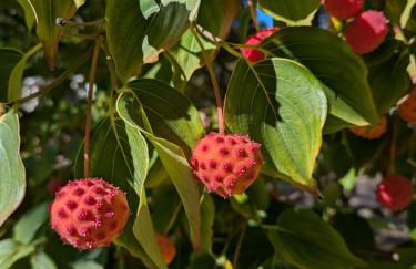 Harbor Breeze - Foto 48