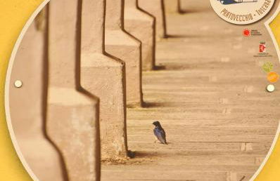 Appartamento in Piazza Nova - Foto 27