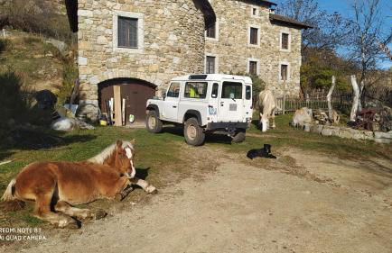 Ferme Can Llull - Foto 9