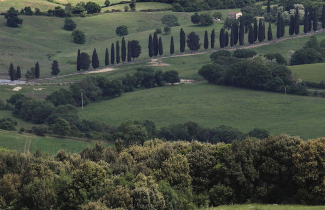 Agriturismo Belvedere Pierini e Brugi - Foto 36