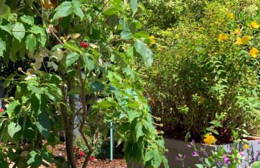 La maison des Légendes - Foto 41