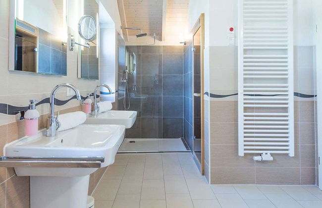 Basstölpel - Foto 16