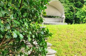 Bella Vista Lago Maggiore Einzigartiger Blick 365 Tagen - Foto 60