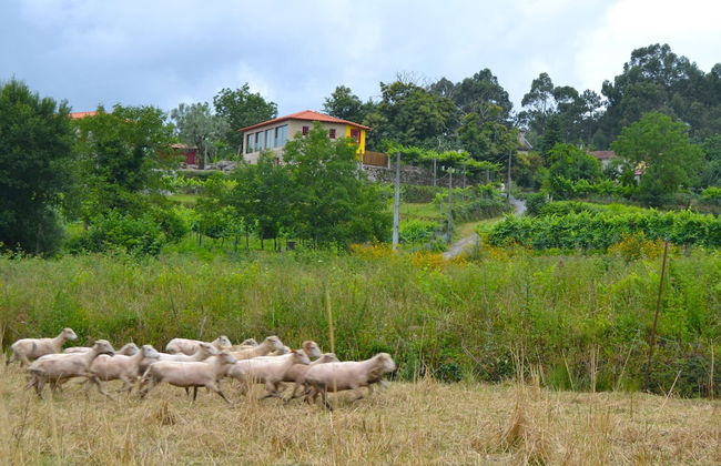 Quinta do Olival - Photo 62