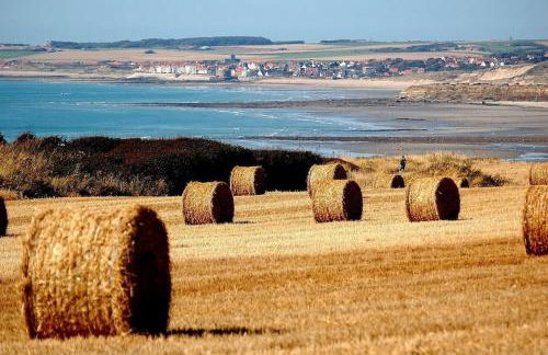 Le chou marin, charmante maison de plain-pied proche d'Audresselles & du Cap gris nez - Foto 16