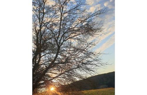 Eifelcottage Wren - Foto 34