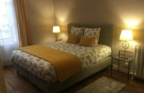 Toul superbe appartement plein centre - Foto 18