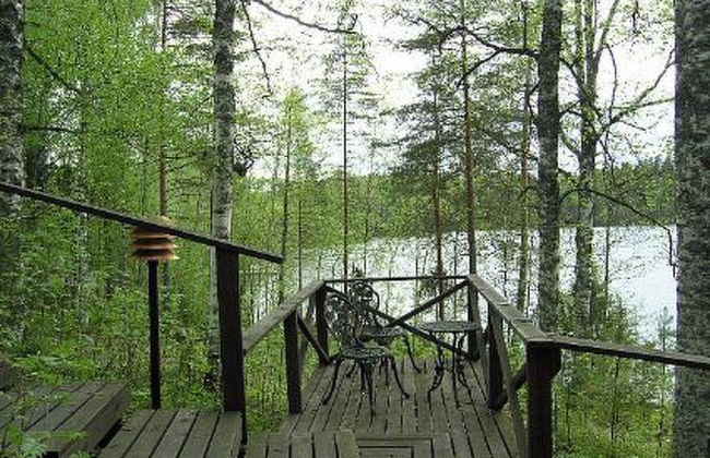 Koivurinne - Foto 26