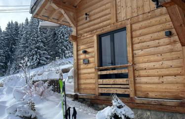 Chalet ski-in-out face au MontBlanc & Bain nordique - Foto 17