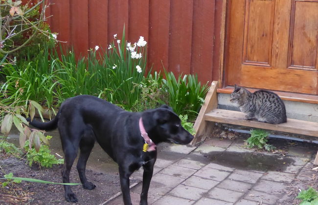 Platypus Park Country Retreat - Foto 40