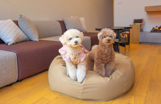 Rakuten STAY VILLA Yatsugatake - Foto 57