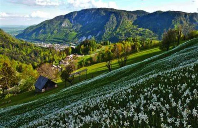 Cosy Flat in Meribel Close to the ski Lifts - Foto 29