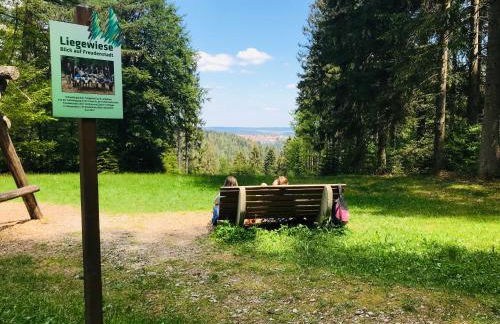 Haus Jenni im Schwarzwald, 3,5-Zimmer, große Terrasse - Foto 66