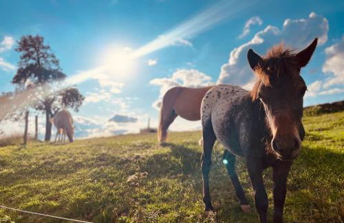 Auszeit Altenhorst, Gartenferienwohnung - Foto 21