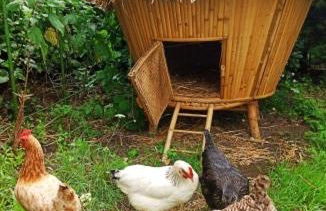 Gîtes By Medoc - Foto 10